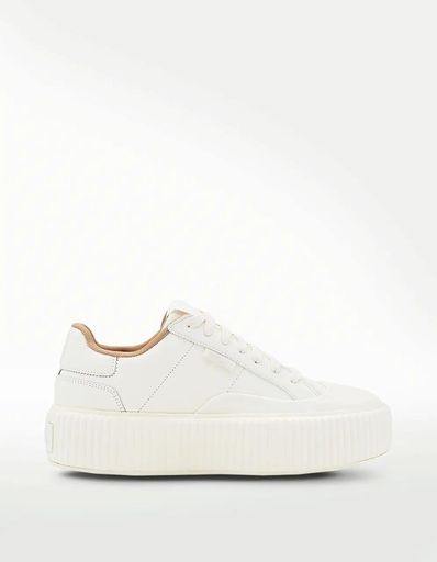 Fila | TAF México. Tienda de Sneakers en Línea